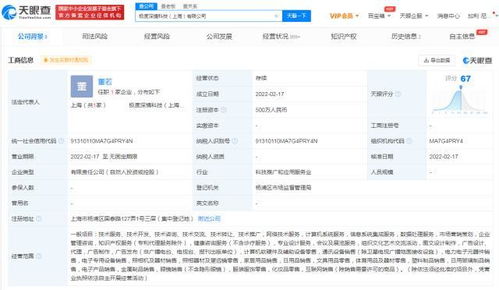 互聯(lián)網(wǎng)設(shè)備銷售 趨勢(shì)、挑戰(zhàn)與未來展望